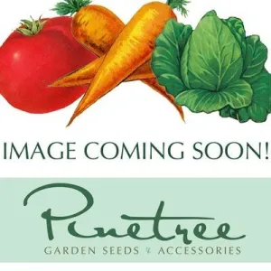 CONNECTICUT SHADE LEAF TOBACCO
